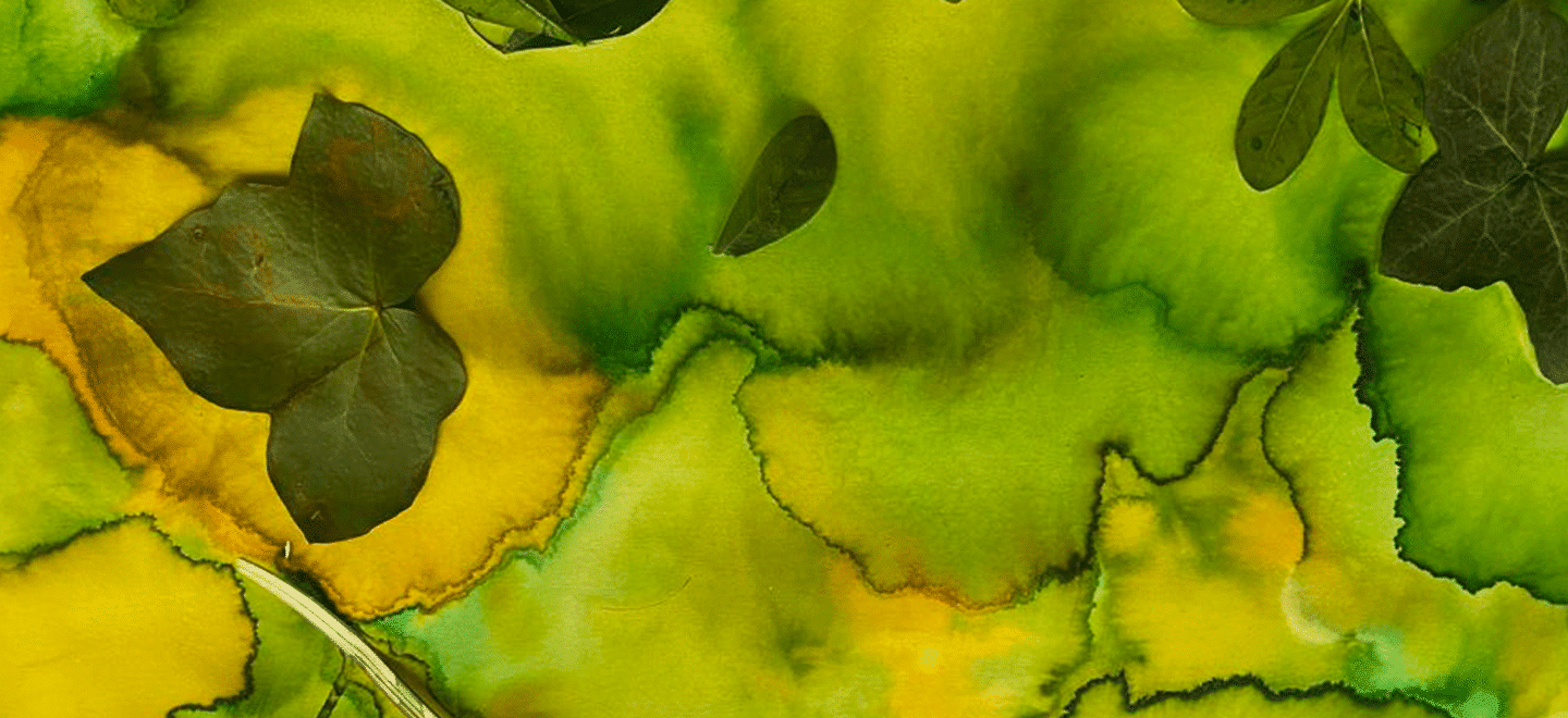 headers site