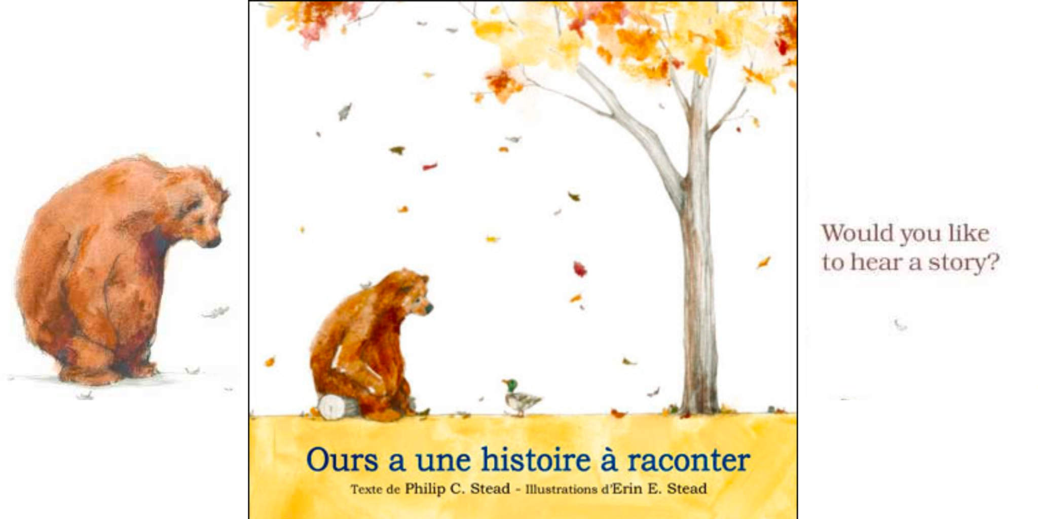 Ours A Une Histoire Raconter Mon Cole