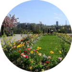Parc CBV